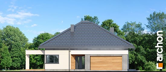 Проект дома Дом в нигеллах (Г2) - 3 Одноэтажные дома в Киеве