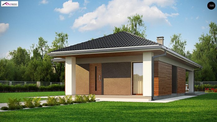 Проєкт будинку U366 - Одноповерхові дома у Києві