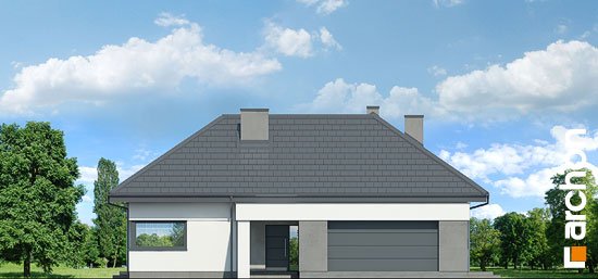 Проект дома Дом в жимолости 2 (Г2) - 3 Одноэтажные дома в Киеве