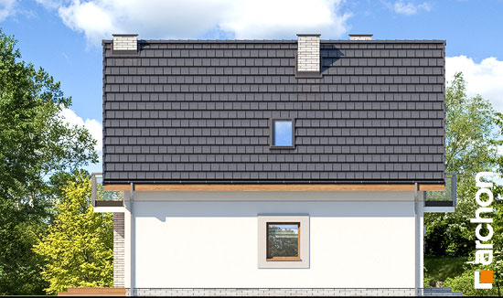 Проєкт будинку Будинок в сон-траві 3 - З мансардним поверхом дома у Києві