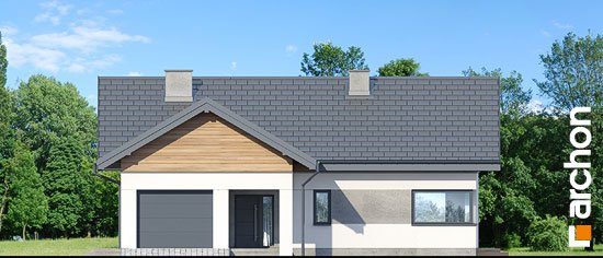 Проект дома Дом в цикории - 3 Одноэтажные дома в Киеве