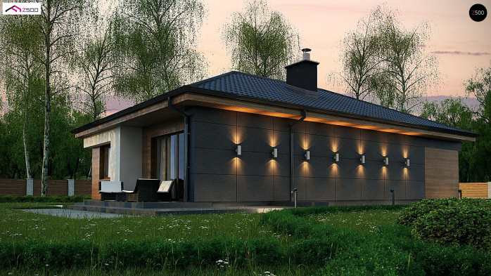 Проект дома U356 - 2 Одноэтажные дома в Киеве