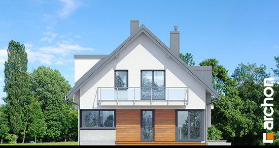 Проект дома Дом в амариллисах 8 - 5 С мансардным этажом дома в Киеве