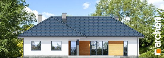 Проект дома Дом в навлоциях (Г2) - 6 Одноэтажные дома в Киеве