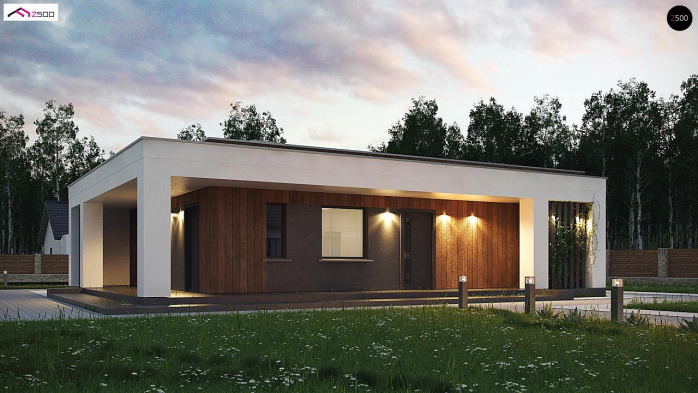 Проект дома Ux76 D - 1 Одноэтажные дома в Киеве