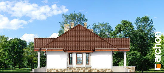 Проект дома Дом в гаурах вер.2 - 5 Одноэтажные дома в Киеве