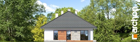 Проект дома Дом в андромедах 2 (Г2) - 6 Одноэтажные дома в Киеве