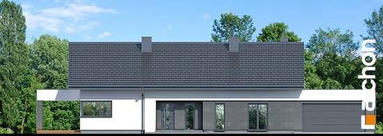 Проект дома Дом в пеперомиях 5 (Г2) - 3 Одноэтажные дома в Киеве