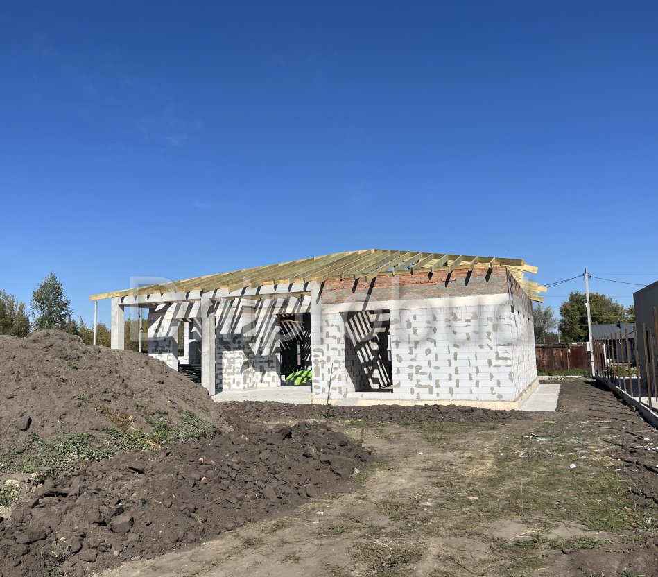 Одноповерховий будинок в с. Новоолександрівка (А)