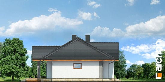 Проект дома Дом в лещиновнике 5 - 5 Одноэтажные дома в Киеве