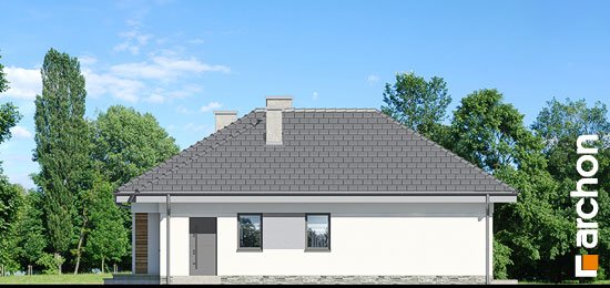 Проект дома Дом в навлоциях - 4 Одноэтажные дома в Киеве