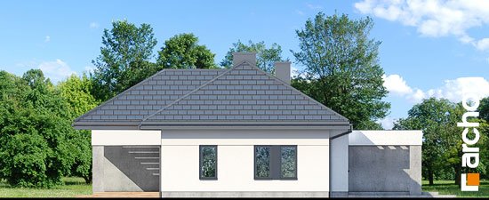 Проект дома Дом в навлоциях 3 (Г2) - 4 Одноэтажные дома в Киеве