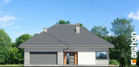 Проект дома Дом в жонкилях (Г2) - 3 Одноэтажные дома в Киеве