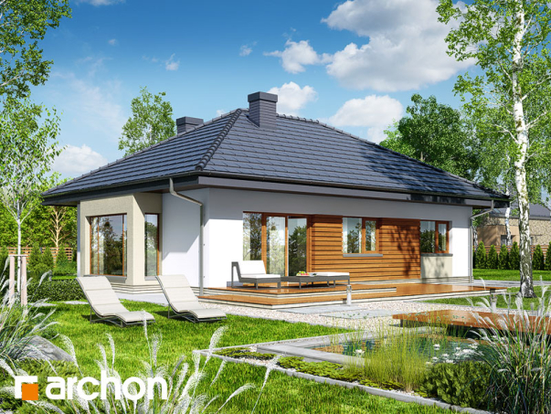 Проект дома Дом под красной рябиной 7 вер.2 - 2 Одноэтажные дома в Киеве