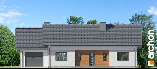 Проект дома Дом в овсянницах (Г) - 3 Одноэтажные дома в Киеве