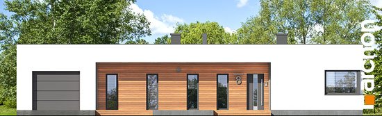 Проект дома Дом в плюмериях 3 (Г) - 3 Одноэтажные дома в Киеве