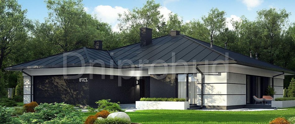 Большой одноэтажный коттедж у озера в Крюковщине