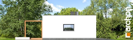 Проект дома Дом в плюмериях 3 (Г) - 4 Одноэтажные дома в Киеве