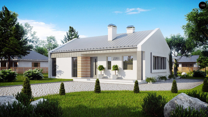 Проект дома U251 - 2 Одноэтажные дома в Киеве