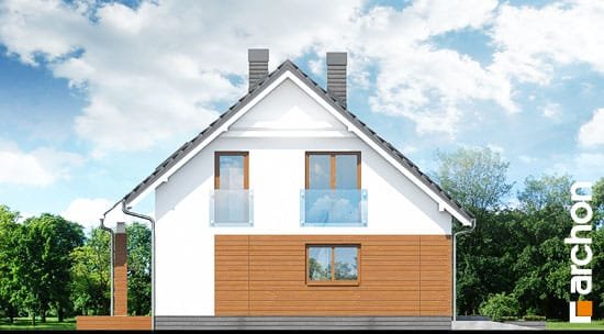 Проект дома Дом в яблонках (Т) - 5 С мансардным этажом дома в Киеве