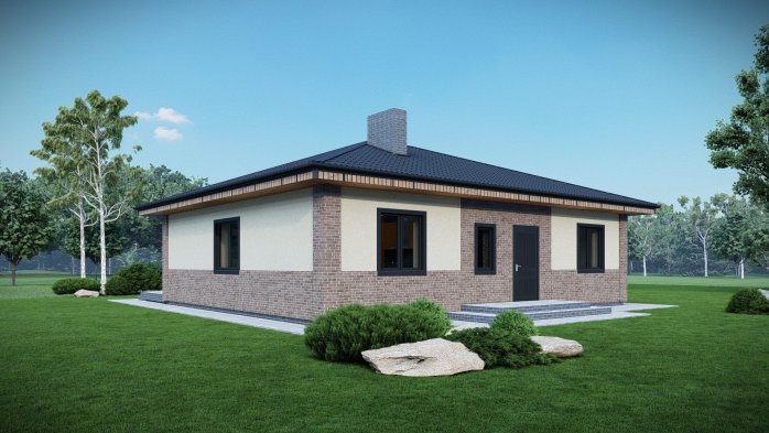 Проєкт будинку DBT 669 - Одноповерхові дома у Києві